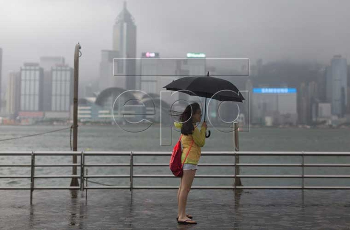 Chum anh bao Nida do bo vao Hong Kong, Quang Dong-Hinh-9